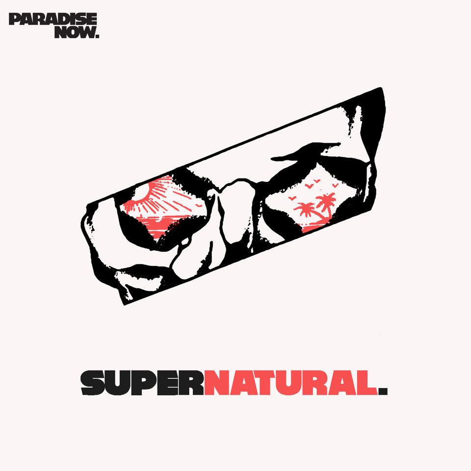 image of an album cover. center of the album has a cut out and a skulls eyes in the middle. at the top says paradise now. the bottom says supernatural